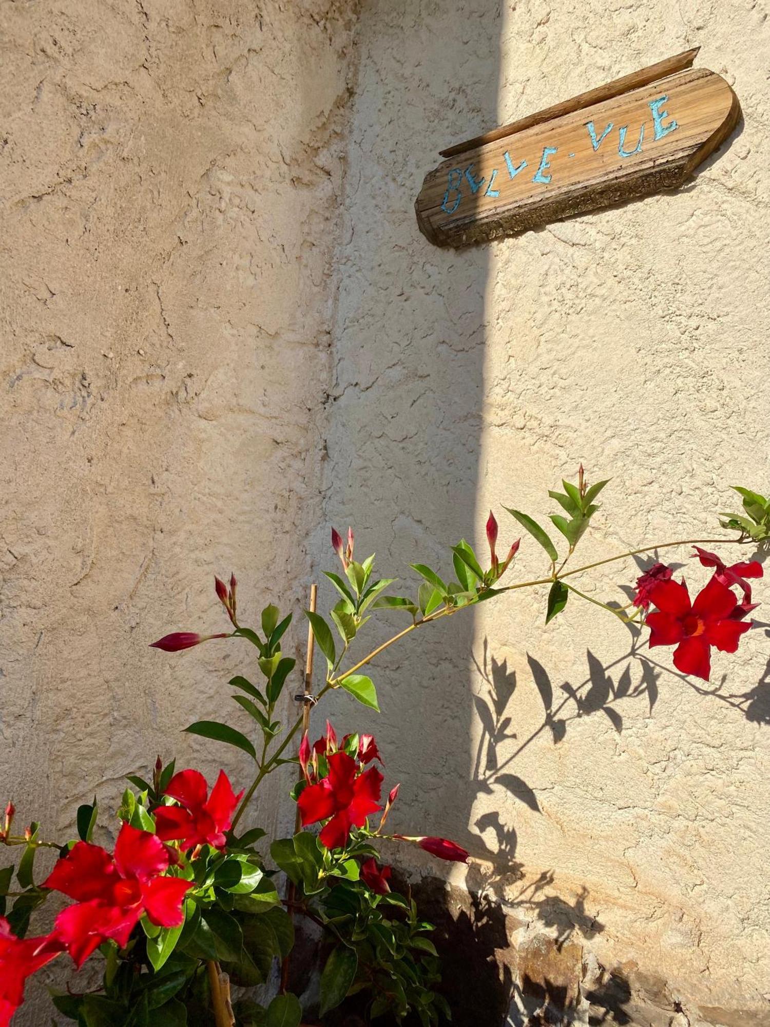 Le Micocoulier Apartment La Crau Exterior photo